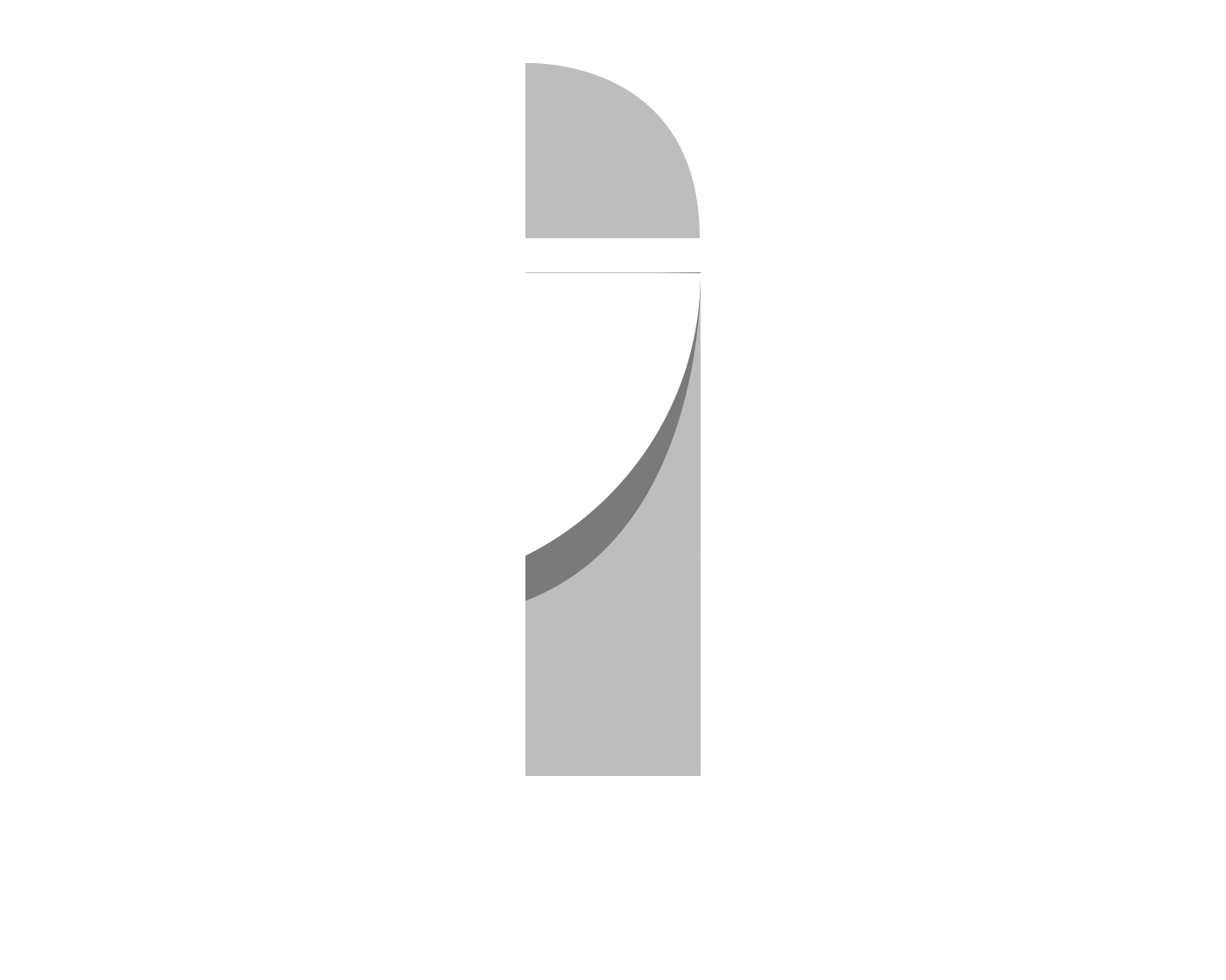 logo icon